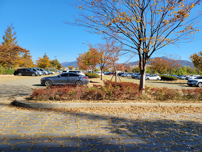 부산 강서구 대저생태공원 파크골프장 소개