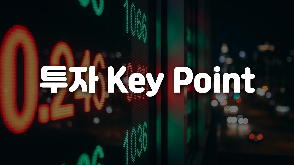 투자 Key Point