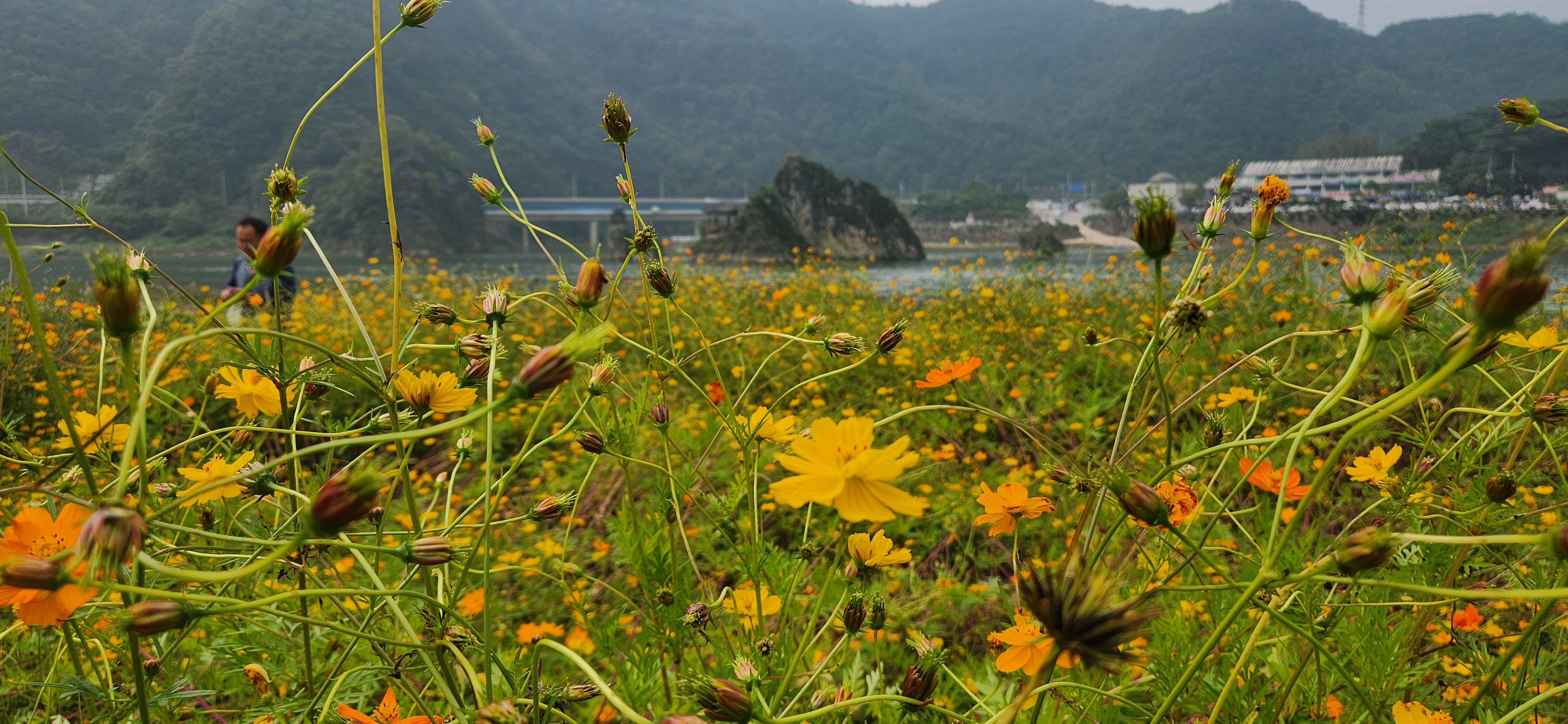 2024 가을 여행지 단풍 명소 추천