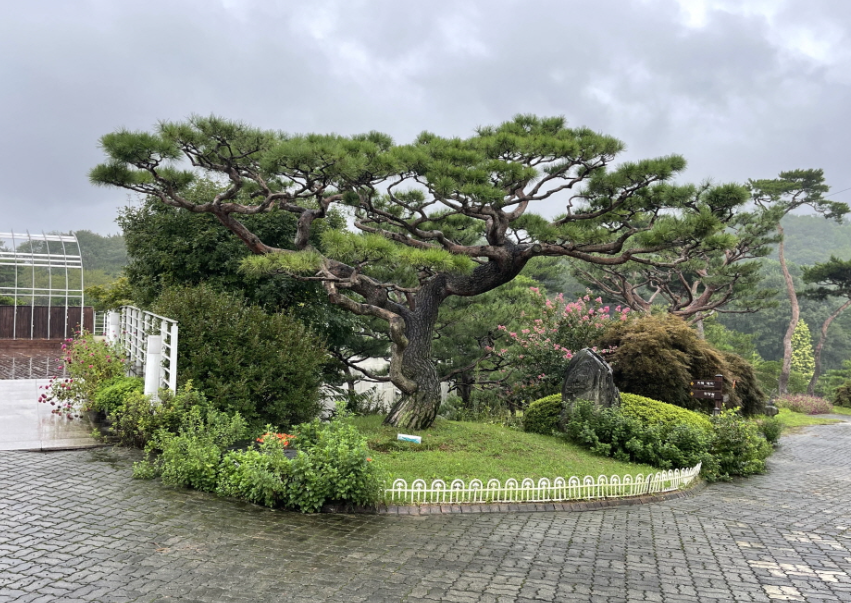 그림같은 수목원