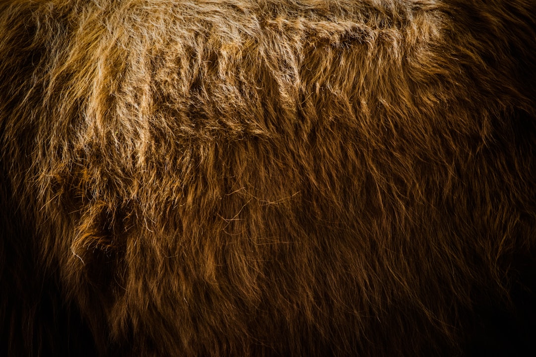Fur