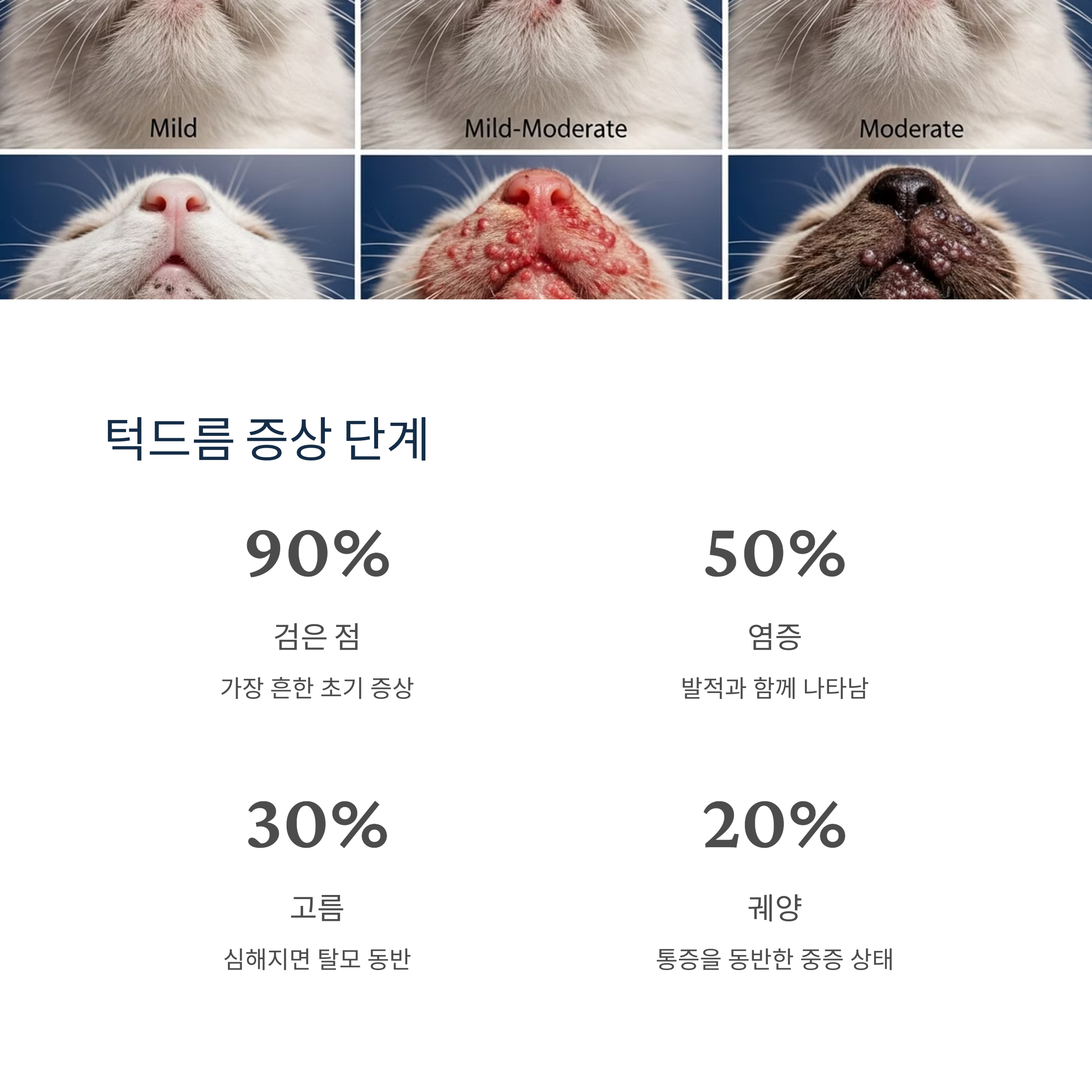 턱드름 증상 단계