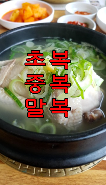 초복 중복 말복