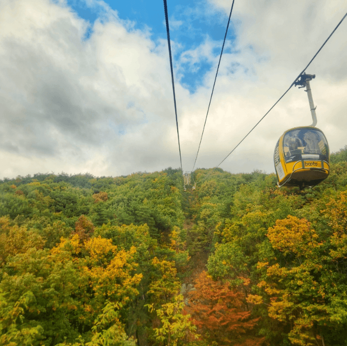 팔공산케이블카