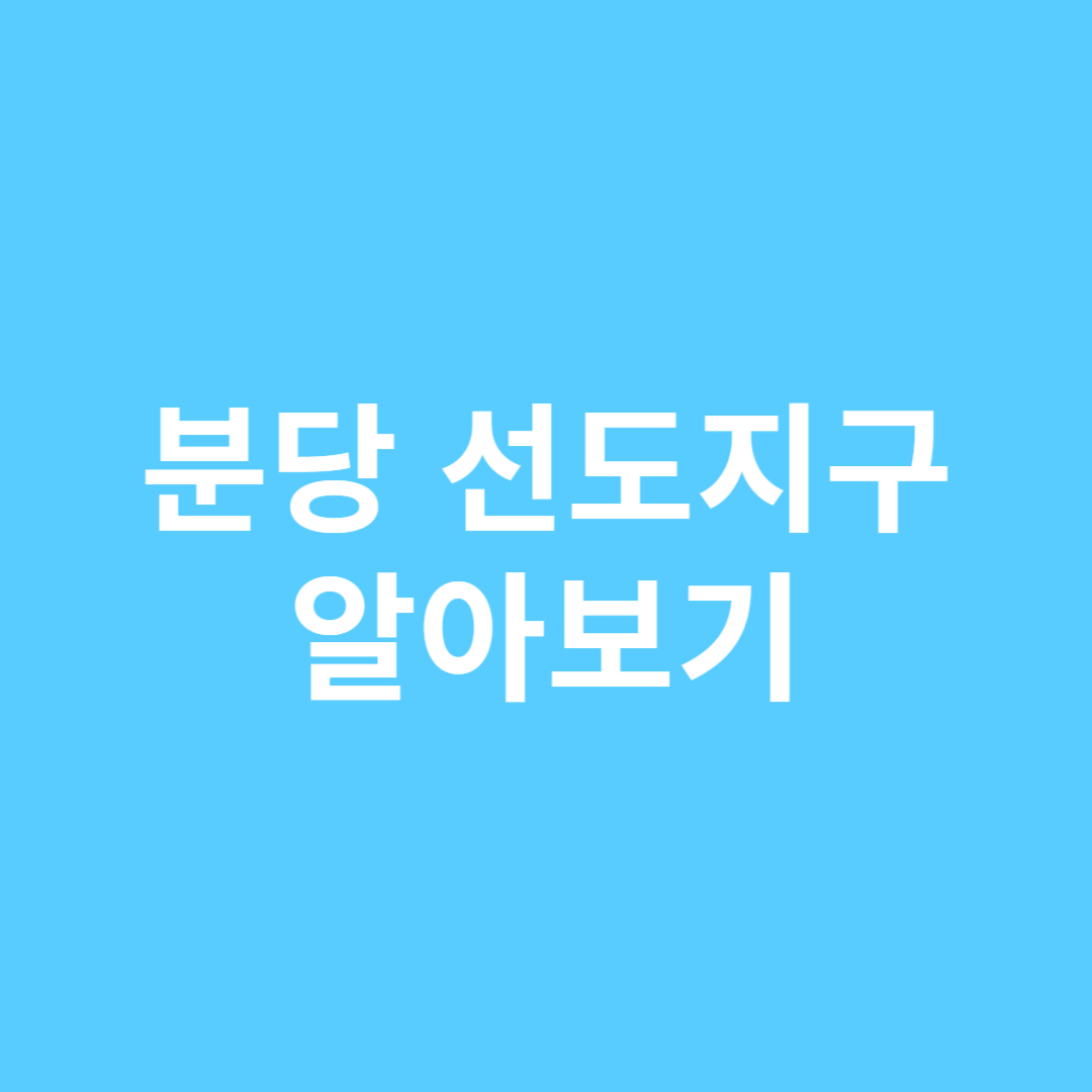 분당 선도지구 알아보기