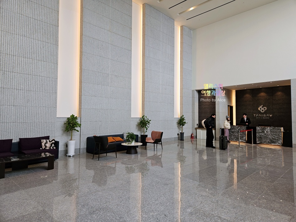 울산 타니베이 호텔, 신상 오션뷰 호텔 숙소 추천 - 코너스위트룸