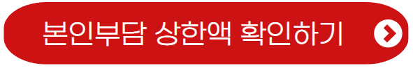 국민건강보험-환급금-본인부담액 확인하기