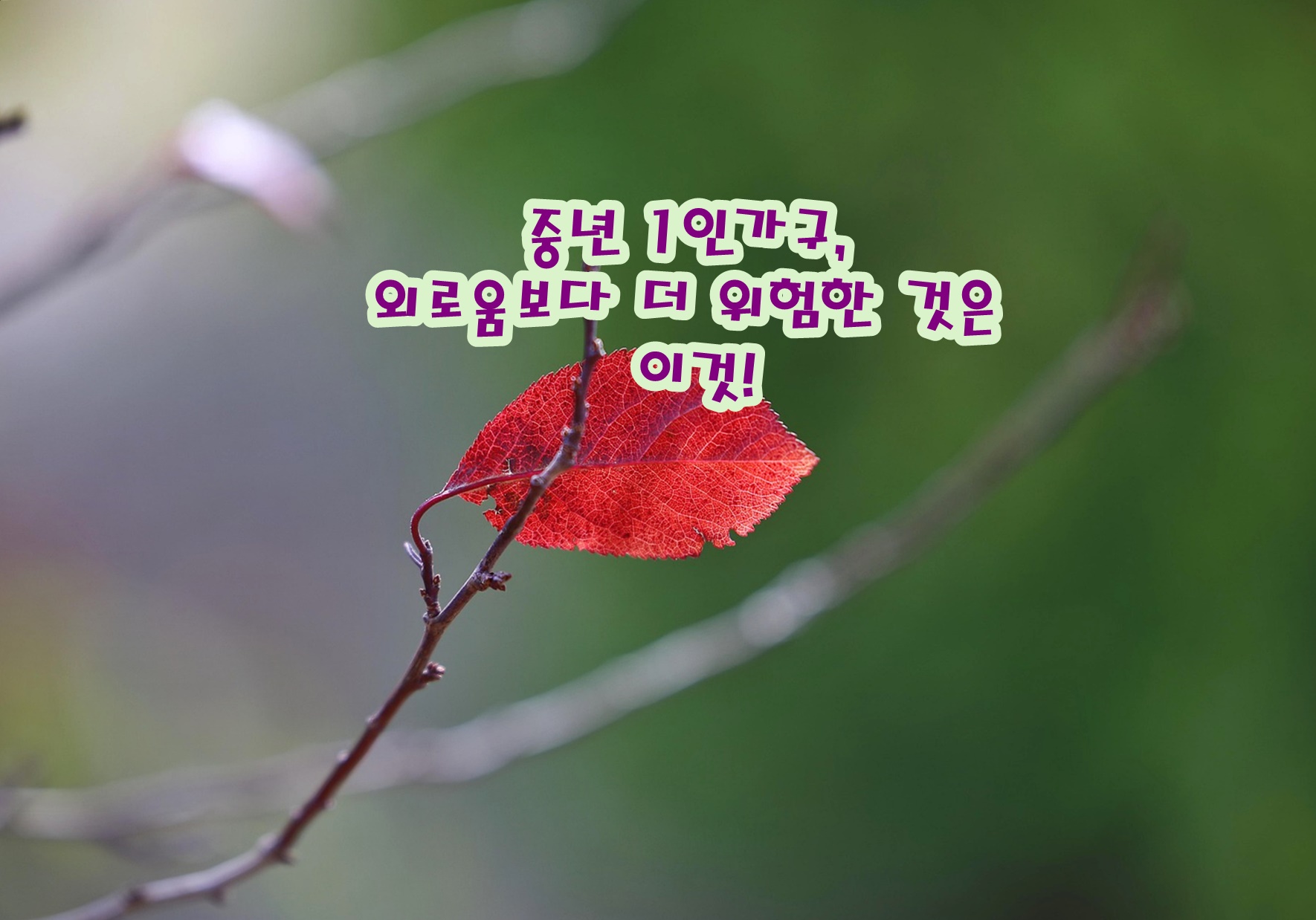 중년 1인가구, 외로움보다 더 위험한 것은 이것이다