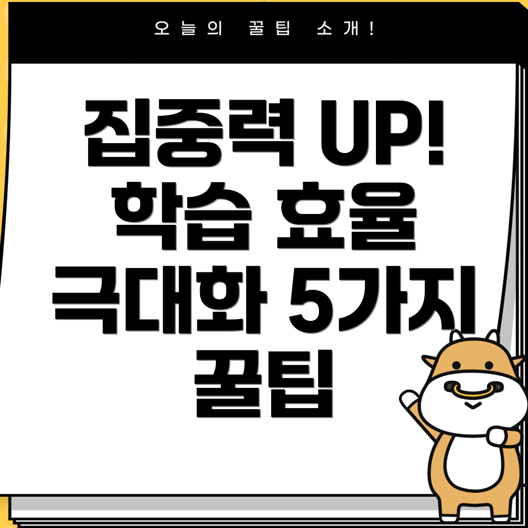 집중력향상학습효율높이는트렌디학습보조기5가지분석