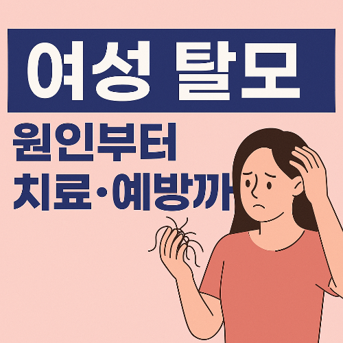 여성 탈모 완벽 가이드: 원인부터 관리법까지 한눈에 정리