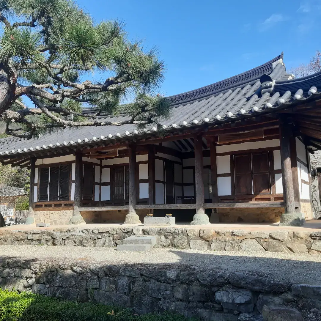 벚꽃이 흩날리는동네