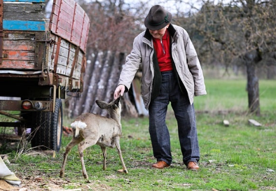 고령자 복지주택의 개요