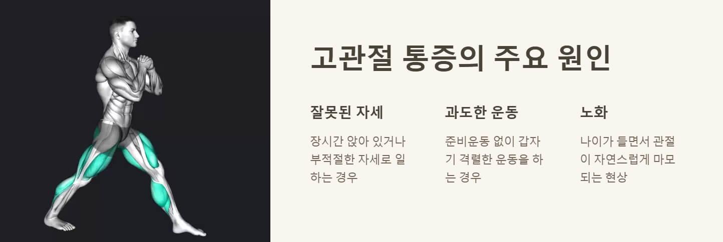 고관절 통증 원인 증상 스트레칭