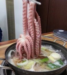 박속낙지