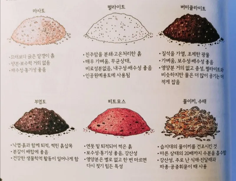 마사토 배합 비율 배수력개선 분갈이기본 시니어도 쉽게_2