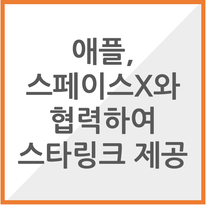 애플 스타링크 협력 썸네일 이미지