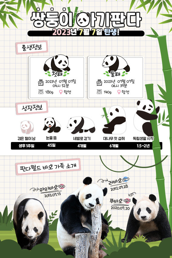 쌍둥이 아기판다 탄생