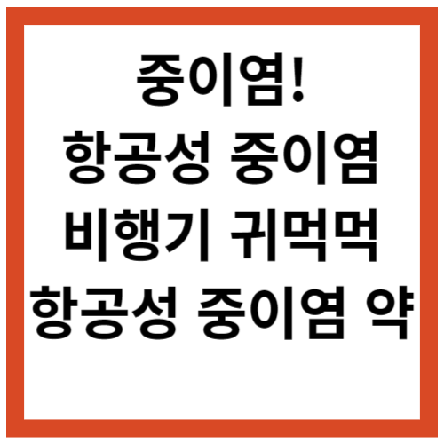 중이염 항공성 중이염 약 비행기 귀먹먹