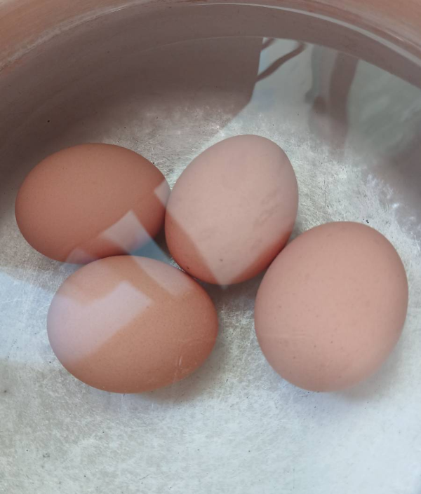 쫄면 삶은 계란 준비하다