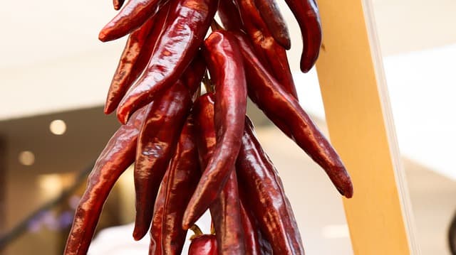 궁중 음식에 담긴 약선 철학 – 먹는 것이 곧 치유였다