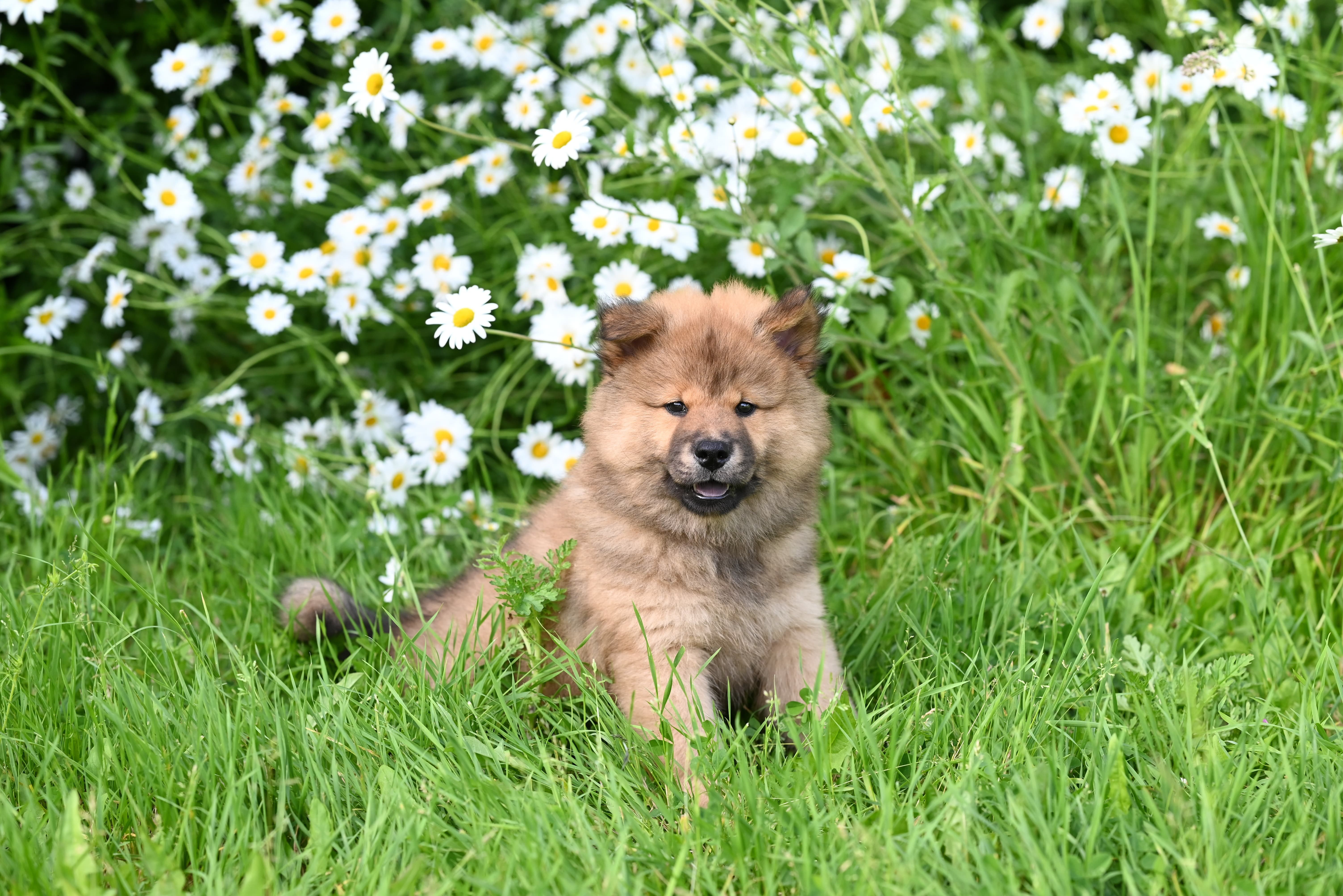 10대부터 50대까지 좋아하는 향이 다를까? 나이와 향기 선호의 관계