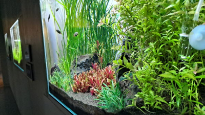 단풍명소_화담숲_자연생태관