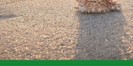 여름철건강관리