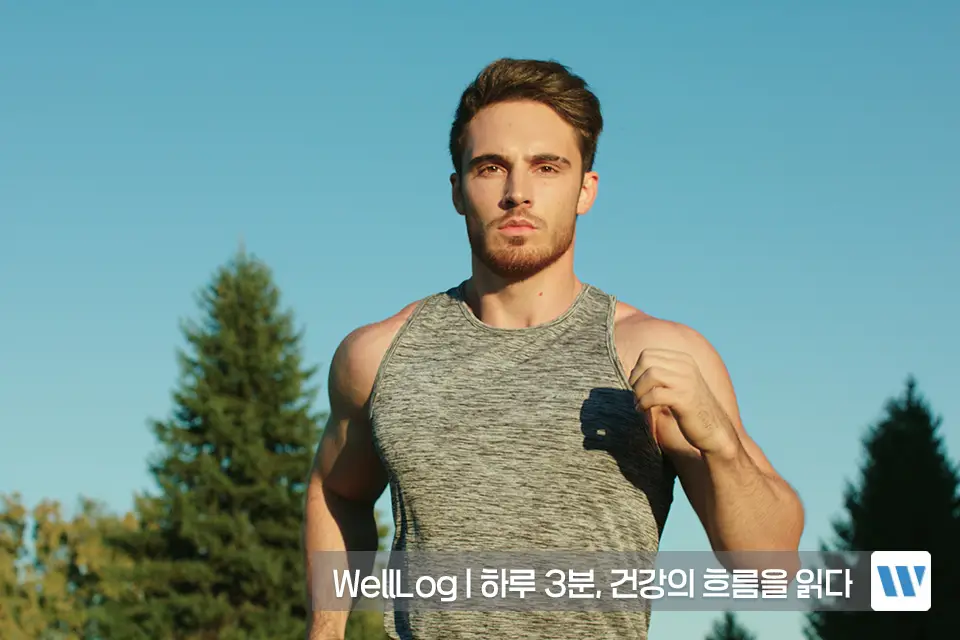 포스파티딜세린 효능 효과