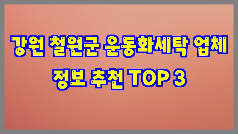 강원 철원군 운동화세탁