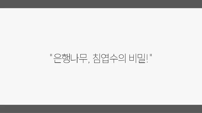 은행나무가 침엽수인 이유 (+특징)