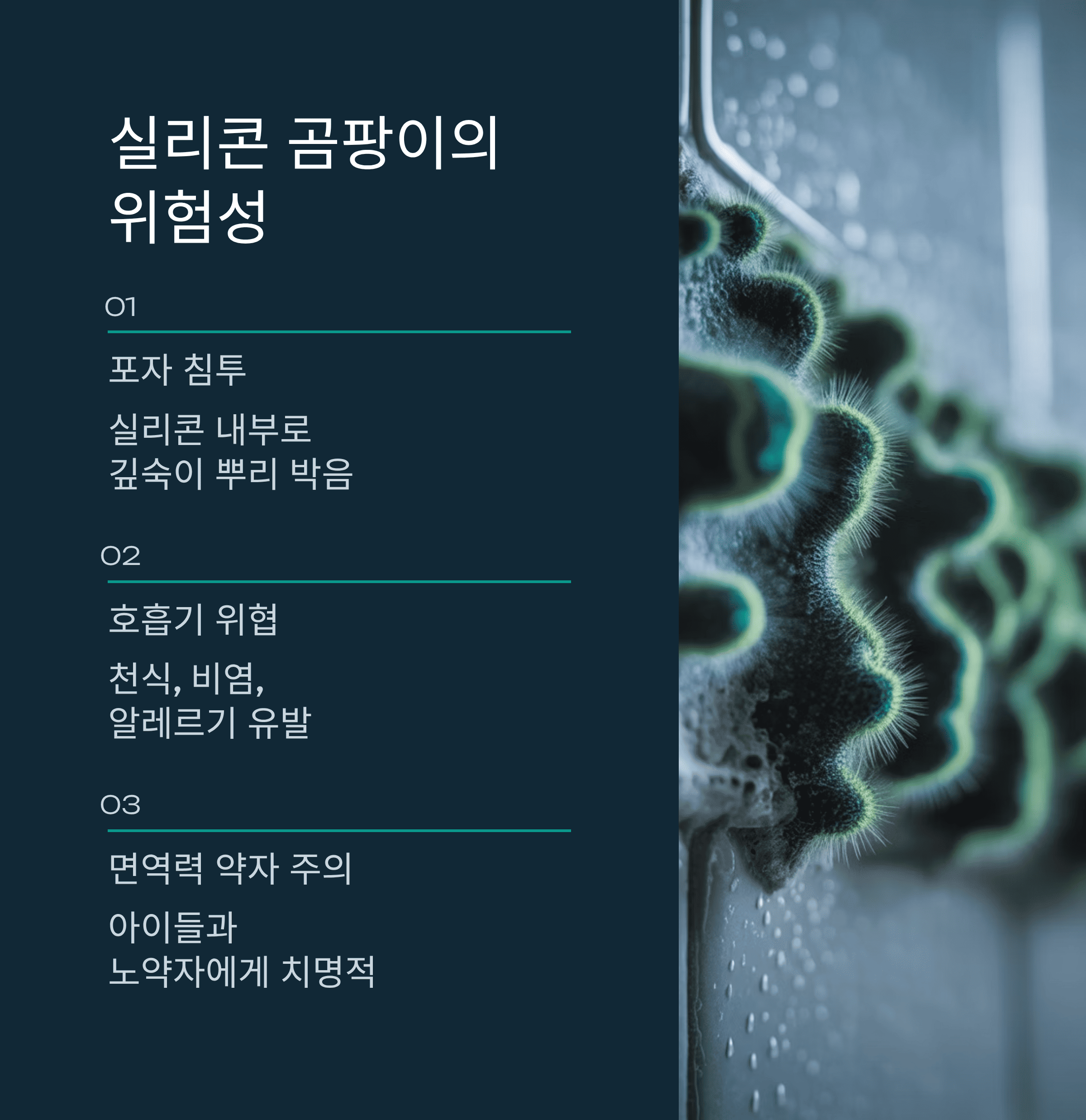 욕실 실리콘 곰팡이 완벽 제거 하는 꿀팁