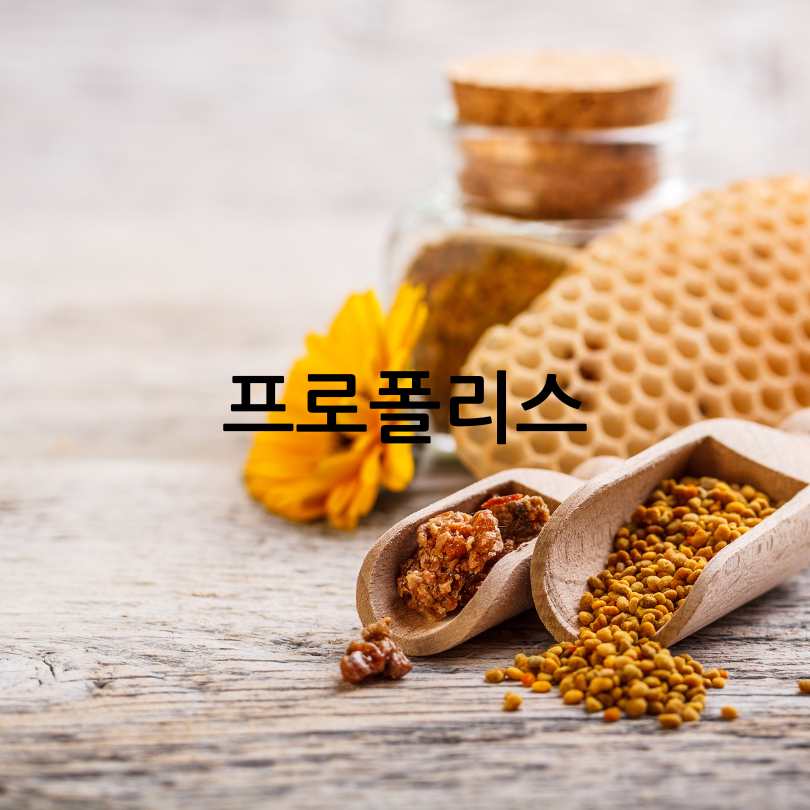 활성산소 제거 영양제