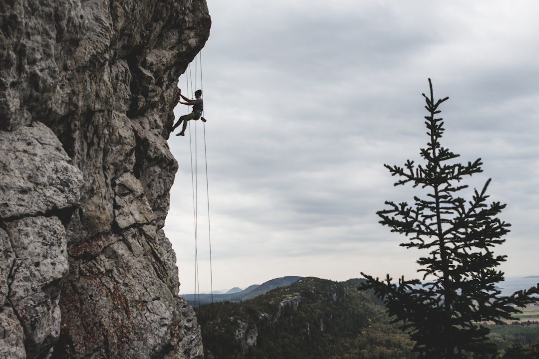 Climbing.