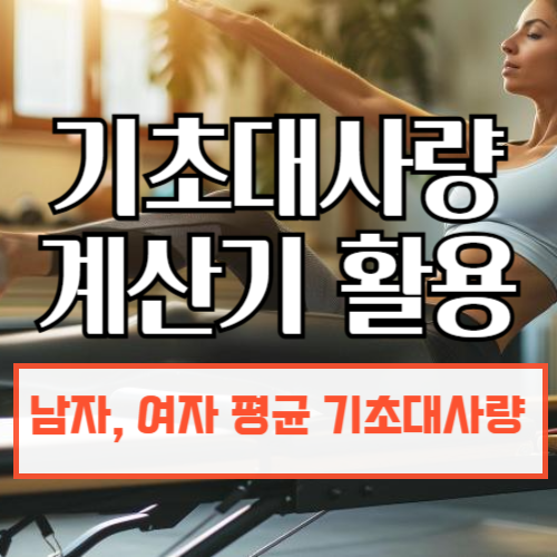 기초대사량 계산기 활용