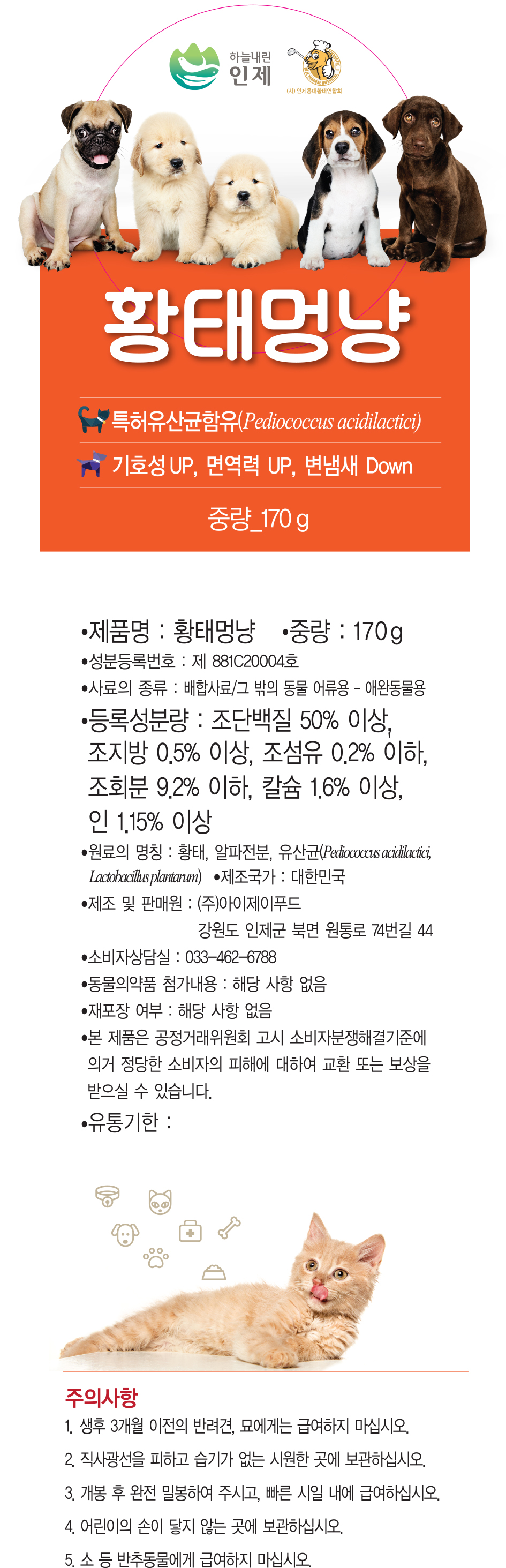 용대리 황태멍냥 안내