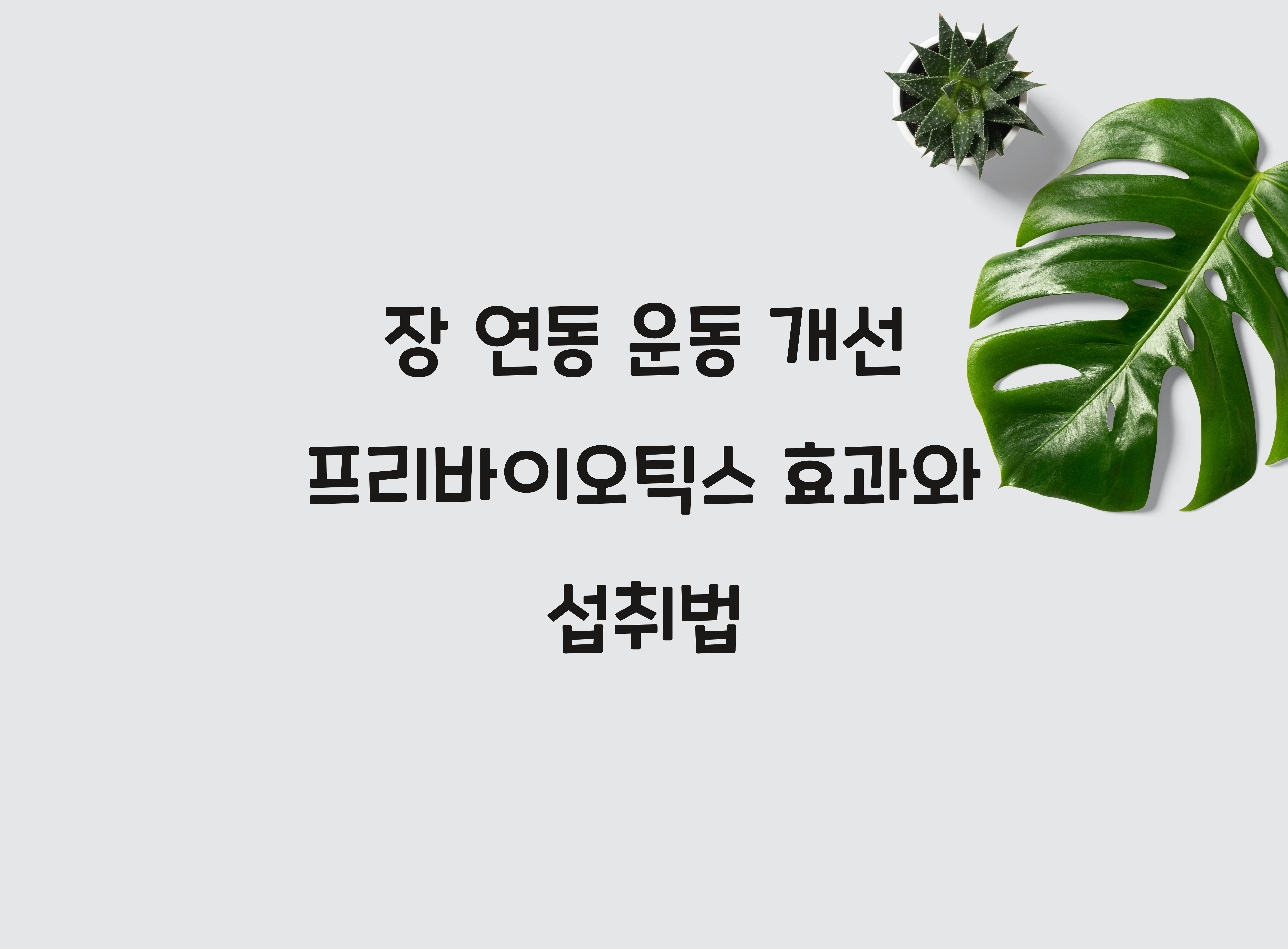 장 연동 운동 개선 프리바이오틱스