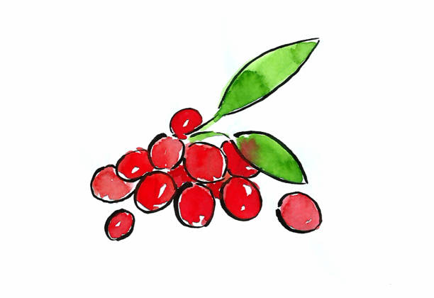 오미자차의 효능 5가지