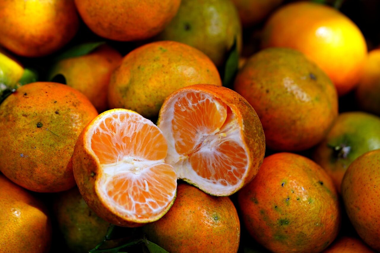 설사 유발 영양제