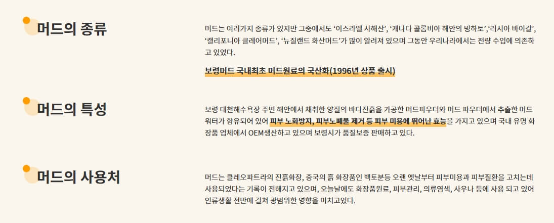 2024 대천 보령머드축제 이용요금 공연일정