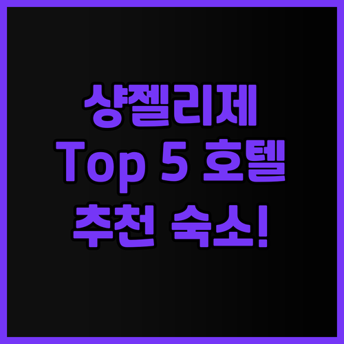 파리 샹젤리제 호텔 Top 5! 실제..