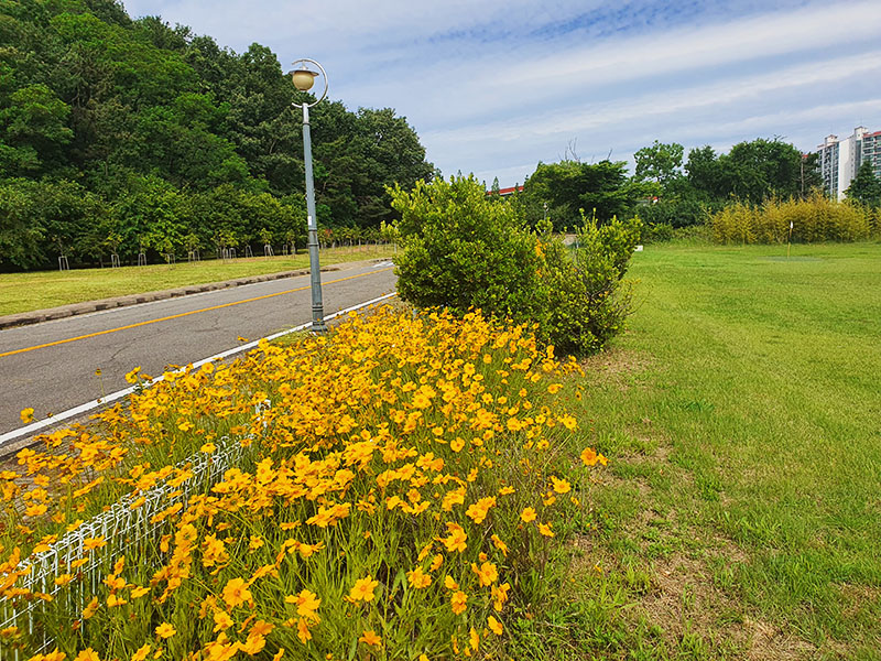 경상북도 포항시 지곡파크골프장 소개