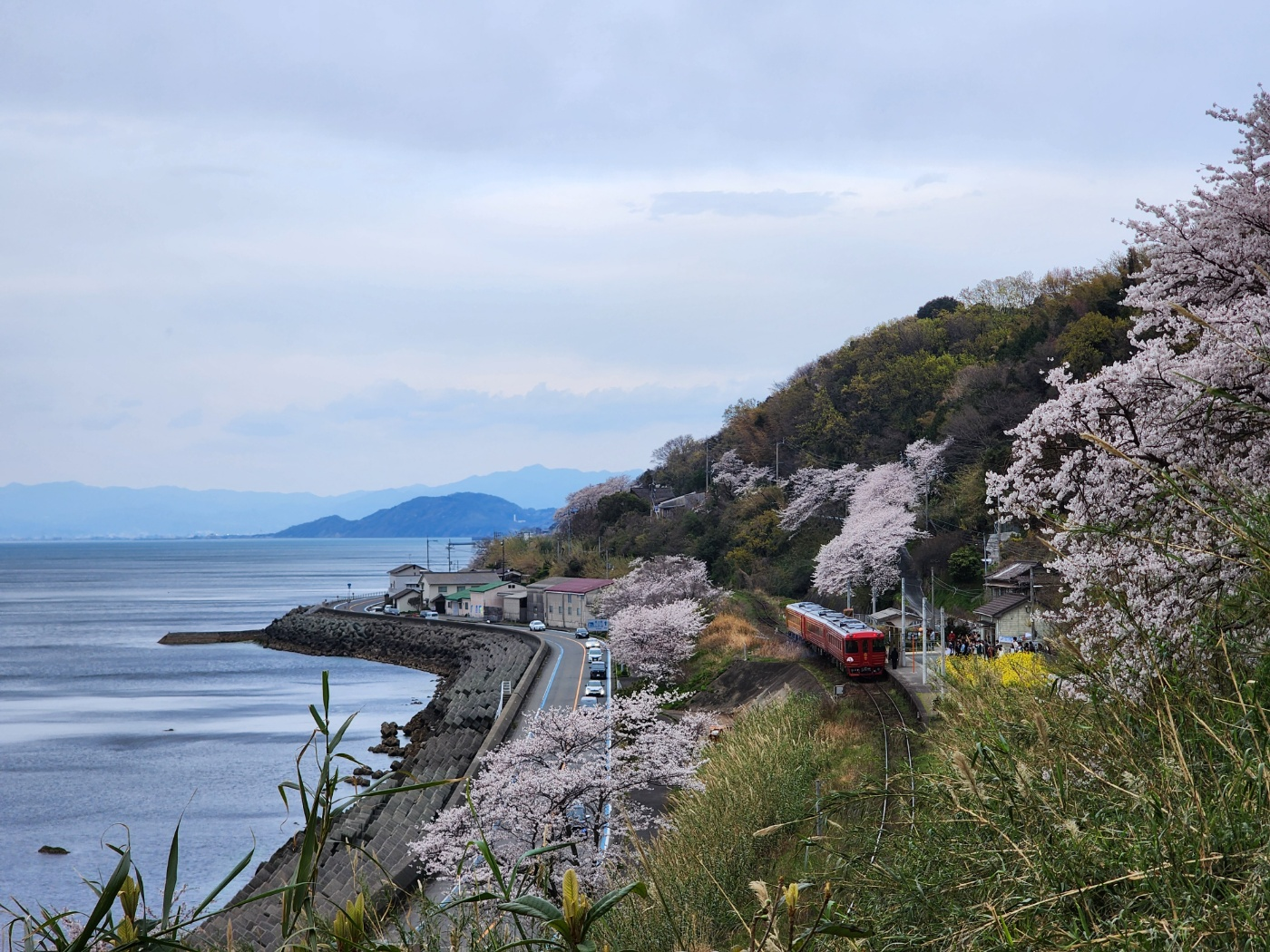 시모나다 주변경관