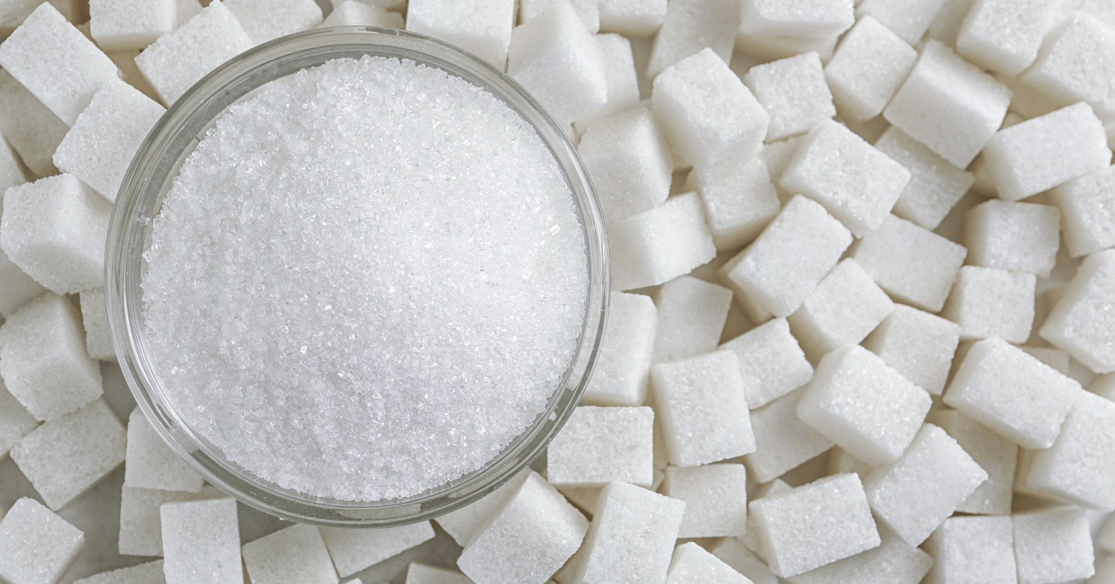 알룰로스부작용