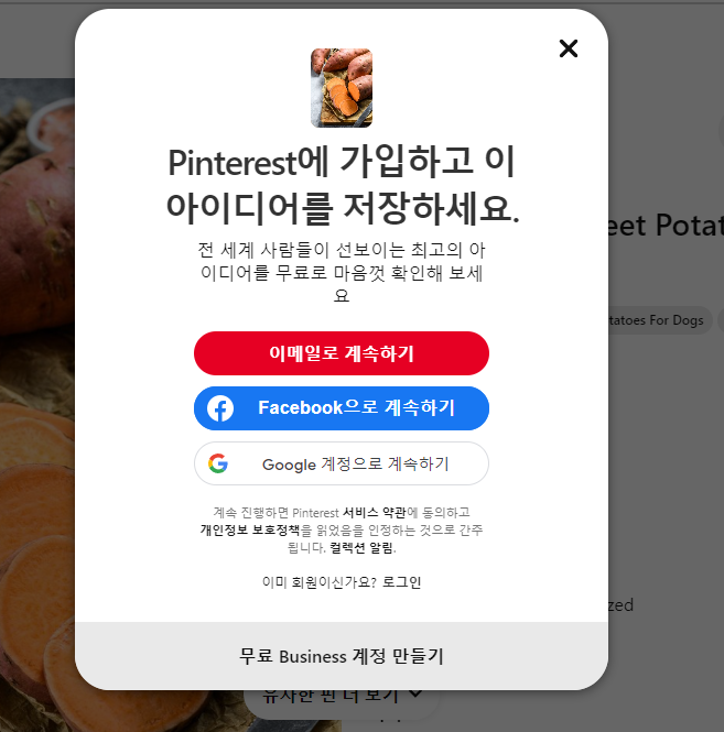 핀터레스트 사용법