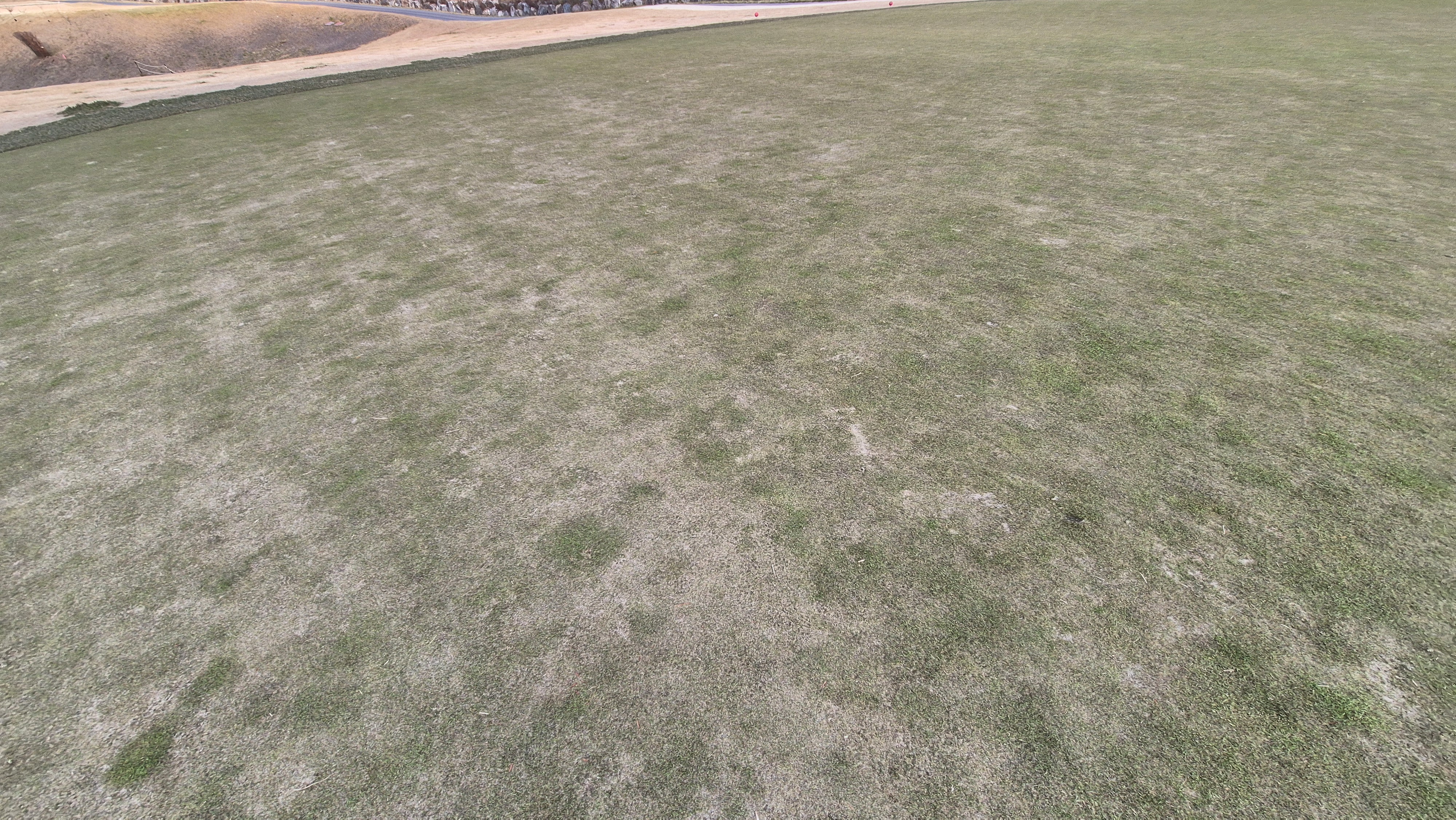 힐데스하임 레이크-힐 코스 그린관리 상태