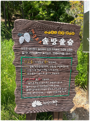 떼구르르 솔방울숲