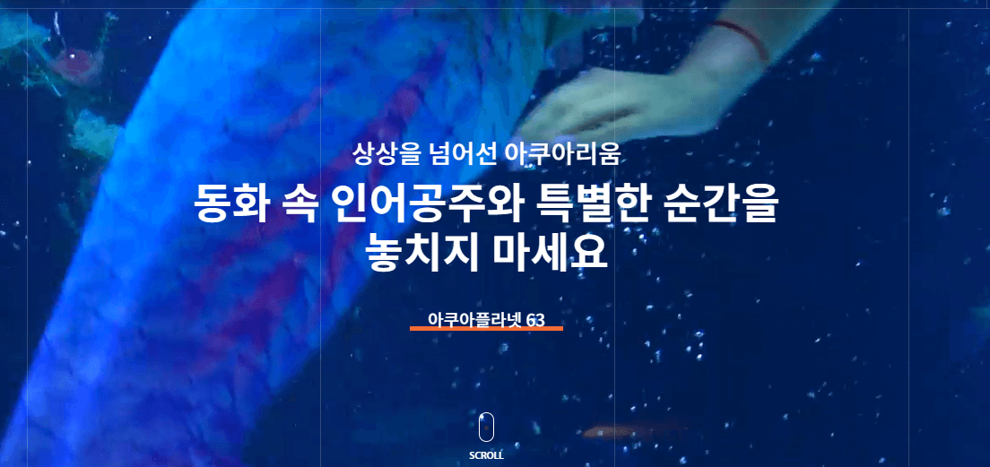 제주 아쿠아플라넷