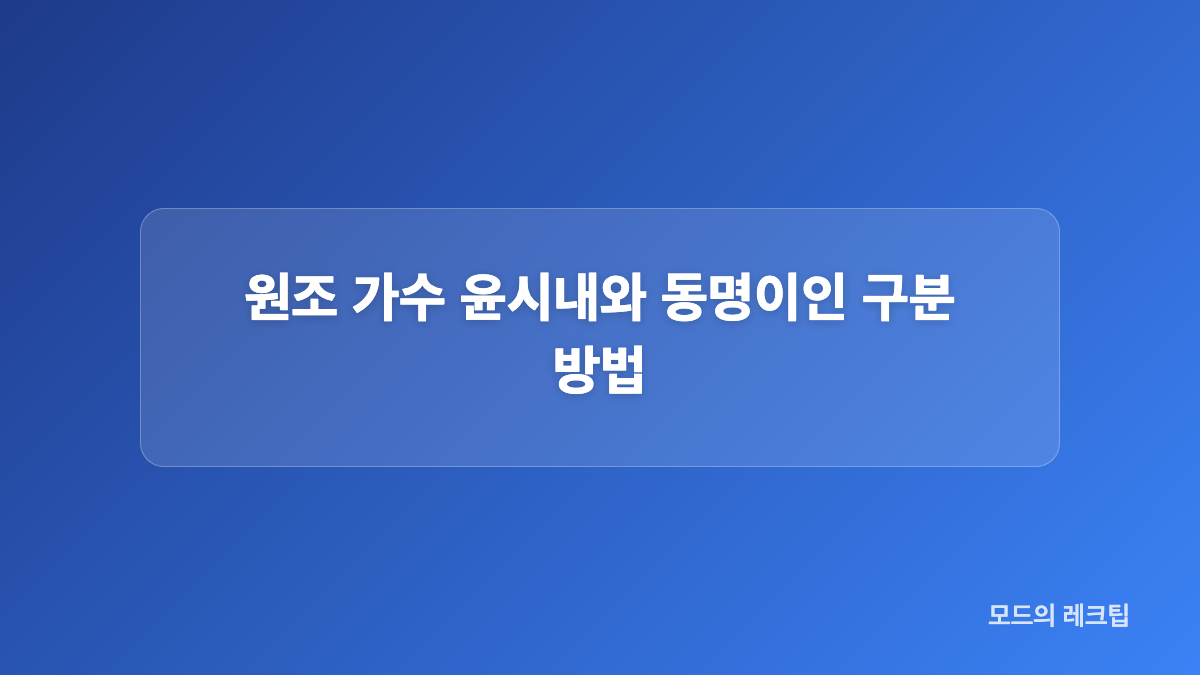 윤시내 대표곡과 강렬한 가창력의 특징
