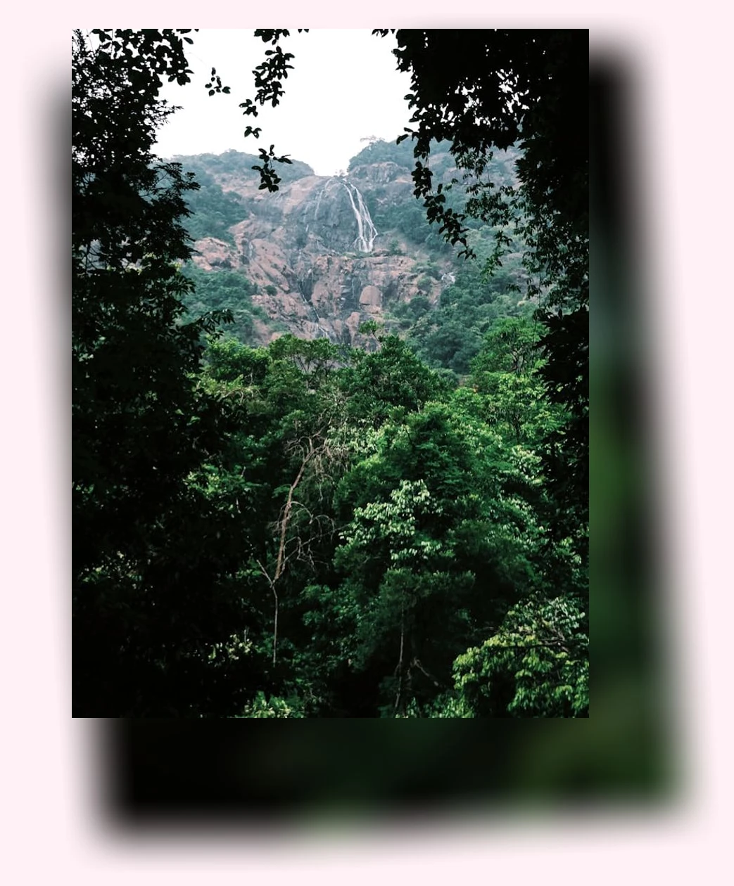 농촌체험_2_subsection