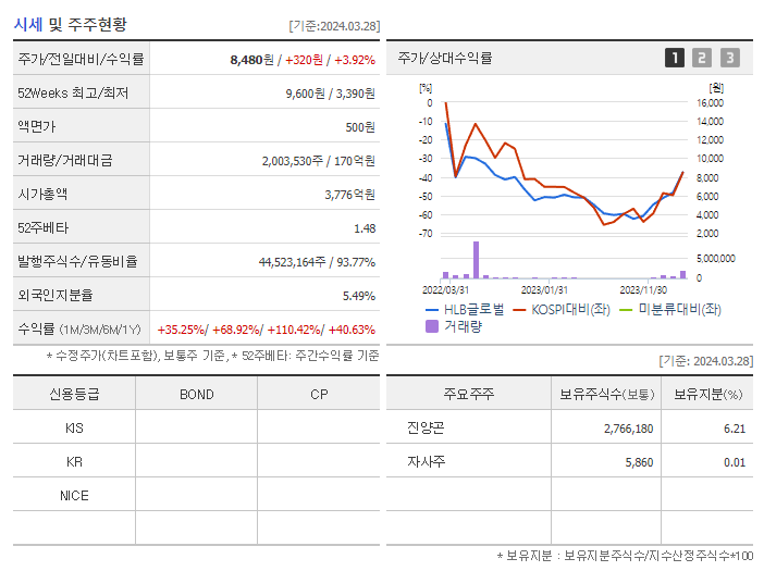 HLB글로벌_기업개요